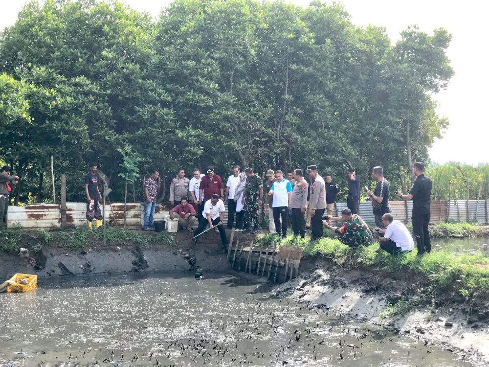 Budidaya Ikan Lele, di Gampong Lampulo menjadi salah satu kegiatan ekonomi masyarakat.